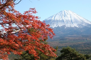 富士山と紅葉.jpg